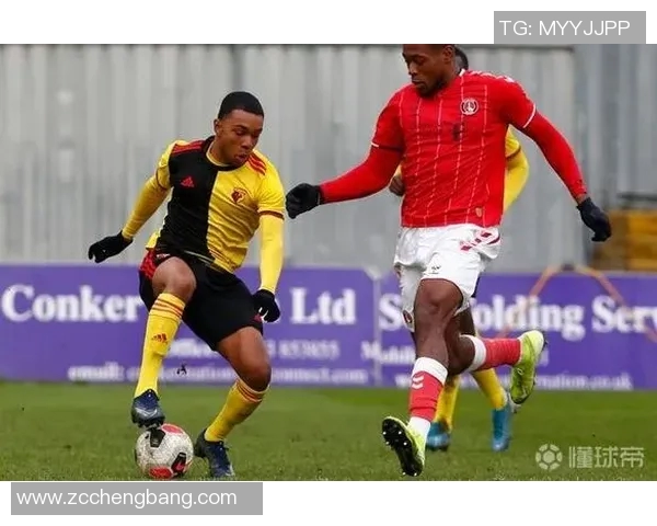 沃特福德对阵皮尔森赛事分析与推荐策略详解